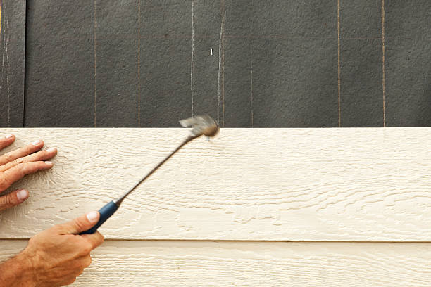 Affordable Siding Repair and Maintenance Services in Chicago Ridge, IL